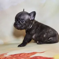 processed/045d1614-62df-4403-adac-3f1baf8241eb/facility/6d424078-6140-4e63-92be-c6e9f54586b1