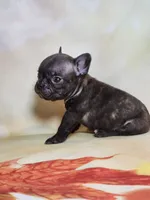 processed/045d1614-62df-4403-adac-3f1baf8241eb/facility/6d424078-6140-4e63-92be-c6e9f54586b1