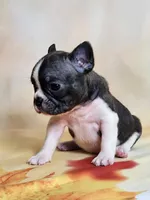 processed/045d1614-62df-4403-adac-3f1baf8241eb/facility/792c0ce7-7377-4835-84d4-1bb989ff1955