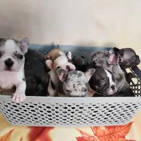 processed/045d1614-62df-4403-adac-3f1baf8241eb/facility/8616d7fb-5ff2-4d99-89b3-46c77c928dcb