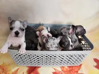 processed/045d1614-62df-4403-adac-3f1baf8241eb/facility/8616d7fb-5ff2-4d99-89b3-46c77c928dcb