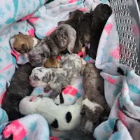 processed/045d1614-62df-4403-adac-3f1baf8241eb/facility/df6353d4-a5c9-43c7-85ac-29050772b8a5