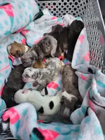 processed/045d1614-62df-4403-adac-3f1baf8241eb/facility/df6353d4-a5c9-43c7-85ac-29050772b8a5