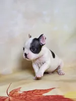 processed/045d1614-62df-4403-adac-3f1baf8241eb/facility/f80ffad4-ef3a-4a28-929b-270e2a1e0725