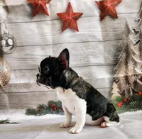 processed/045d1614-62df-4403-adac-3f1baf8241eb/listing/03d10da2-908c-4d3b-a048-ef79bde7dcd3/14bedc3b-b37d-4389-a806-13cb1a1a046b