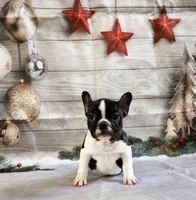 processed/045d1614-62df-4403-adac-3f1baf8241eb/listing/03d10da2-908c-4d3b-a048-ef79bde7dcd3/e00cf232-d6f2-45f9-9736-61979d73a442