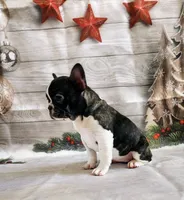 processed/045d1614-62df-4403-adac-3f1baf8241eb/listing/03d10da2-908c-4d3b-a048-ef79bde7dcd3/ef84b173-7ada-4f5b-86d9-60fb74772bc8