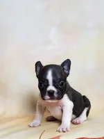 processed/045d1614-62df-4403-adac-3f1baf8241eb/listing/03d10da2-908c-4d3b-a048-ef79bde7dcd3/f9fe78c4-9028-42ce-bac2-3c7a57b578d8