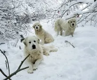 processed/0460584c-3a50-4a93-83f5-4f9de42022a9/facility/0f924f42-a8eb-4960-b614-b8504342f9da