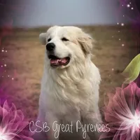 processed/0460584c-3a50-4a93-83f5-4f9de42022a9/facility/32344201-3597-4136-b8a2-a1378a925d98