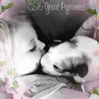 processed/0460584c-3a50-4a93-83f5-4f9de42022a9/facility/45f4515e-e979-4a79-8b40-938294222569