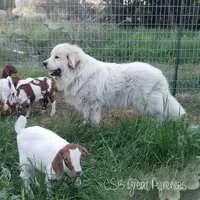 processed/0460584c-3a50-4a93-83f5-4f9de42022a9/facility/7c97823a-9719-4279-9c37-84163b2959f1