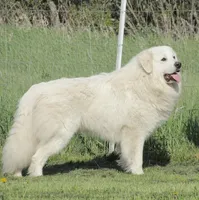 processed/0460584c-3a50-4a93-83f5-4f9de42022a9/facility/9420751b-7df6-4e66-8a5f-7f69644edc1a