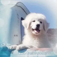 processed/0460584c-3a50-4a93-83f5-4f9de42022a9/facility/ab2fc458-ecc8-4496-9f95-c02fe81df55c