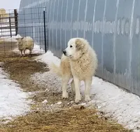 processed/0460584c-3a50-4a93-83f5-4f9de42022a9/facility/b2e367c8-6333-4a4c-ae47-556988967bf8