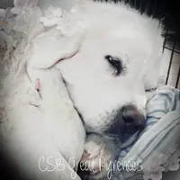 processed/0460584c-3a50-4a93-83f5-4f9de42022a9/facility/c52ec414-f19b-4045-930d-0a8d561783a6