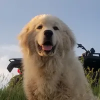 processed/0460584c-3a50-4a93-83f5-4f9de42022a9/facility/f3798277-b4a4-49d2-a867-0ff4cadaa0c7