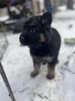 processed/0464aebb-d314-4ff1-aef5-113582af8438/listing/85ee48ed-1cea-4bcd-b0bd-e45bbf65240a/94d97a40-aad0-48c6-b52d-ddd4f3dbe7e2