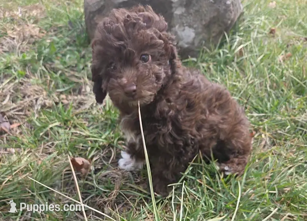 processed/0468fc88-6a9f-49fb-a630-9e6b68273e8b/listing/6183bd46-2e06-4ade-8d6d-1c80a2e437d4/6476f498-6ecf-469b-888f-9a3b5617493f