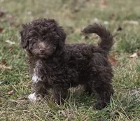 processed/0468fc88-6a9f-49fb-a630-9e6b68273e8b/listing/6183bd46-2e06-4ade-8d6d-1c80a2e437d4/7fe8e1b6-bd21-47f5-95de-a073b9c39dcf