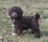 processed/0468fc88-6a9f-49fb-a630-9e6b68273e8b/listing/6183bd46-2e06-4ade-8d6d-1c80a2e437d4/ea1d89fd-870a-4359-8901-14713f25ae83