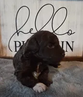 processed/0468fc88-6a9f-49fb-a630-9e6b68273e8b/listing/6183bd46-2e06-4ade-8d6d-1c80a2e437d4/f9b72fee-8cc0-477e-94ac-3763c88840d7