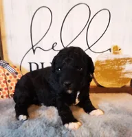 processed/0468fc88-6a9f-49fb-a630-9e6b68273e8b/listing/94ab5fe9-2c99-41d6-b568-8fa7116fd2e9/56543db5-f739-4632-8b37-53f0c9a33857