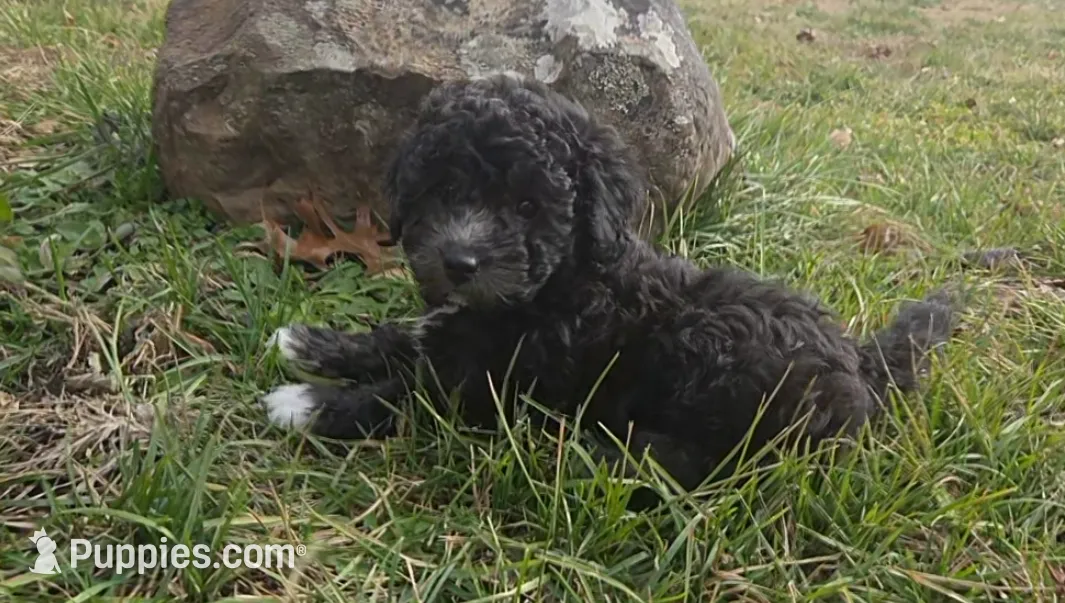 processed/0468fc88-6a9f-49fb-a630-9e6b68273e8b/listing/94ab5fe9-2c99-41d6-b568-8fa7116fd2e9/94ba75d2-9b73-49ad-922f-ba6a7fecfc24