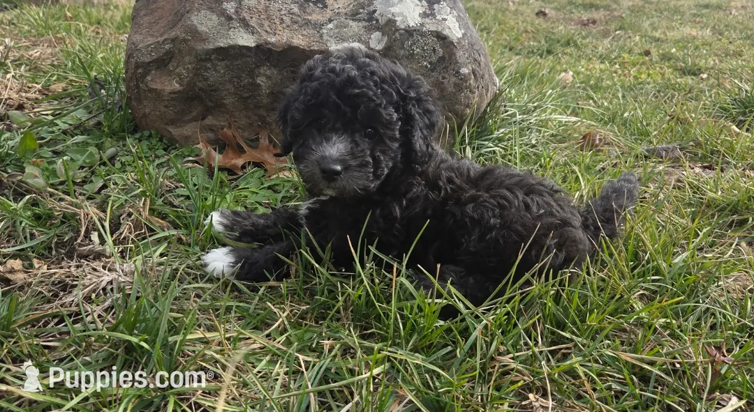 processed/0468fc88-6a9f-49fb-a630-9e6b68273e8b/listing/94ab5fe9-2c99-41d6-b568-8fa7116fd2e9/c1c6ef12-2f4a-4439-9f1f-24ca029c8f8b