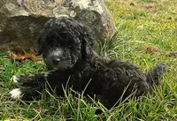 processed/0468fc88-6a9f-49fb-a630-9e6b68273e8b/listing/94ab5fe9-2c99-41d6-b568-8fa7116fd2e9/fe4b3355-e451-4517-a76f-c3f54f30bafd