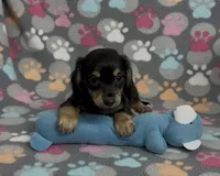 processed/046d345a-9f15-4a23-980b-eaa5f07f7681/listing/1ddc3433-302d-47a8-b158-54bd2193b8c3/78dffaee-0375-4cbd-bbef-e7104e1eb3f5