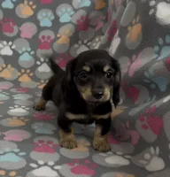 processed/046d345a-9f15-4a23-980b-eaa5f07f7681/listing/1ddc3433-302d-47a8-b158-54bd2193b8c3/9e3fcc34-c177-4dfe-90a3-147a0bd2d0a5