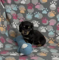 processed/046d345a-9f15-4a23-980b-eaa5f07f7681/listing/1ddc3433-302d-47a8-b158-54bd2193b8c3/b35f985e-7a02-4557-9524-6d98dfbbddda