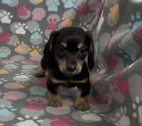 processed/046d345a-9f15-4a23-980b-eaa5f07f7681/listing/1ddc3433-302d-47a8-b158-54bd2193b8c3/c56bf2e3-543d-4a55-84ec-90ab675ac2ea