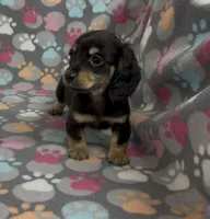 processed/046d345a-9f15-4a23-980b-eaa5f07f7681/listing/1ddc3433-302d-47a8-b158-54bd2193b8c3/fa554f8a-fd22-4f3d-b052-2b2179db3420