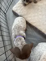 processed/04725dc9-0742-49a3-a50b-fce6bfdd5b3c/listing/125d1577-d13d-4610-bfea-2d8bd04a3e77/748f3495-0b0b-4b25-938d-1af7ce9e63e4