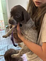 processed/04725dc9-0742-49a3-a50b-fce6bfdd5b3c/listing/125d1577-d13d-4610-bfea-2d8bd04a3e77/dc4692ee-82cb-4452-9ba2-600ffe5be115