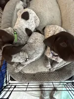 processed/04725dc9-0742-49a3-a50b-fce6bfdd5b3c/listing/7d866457-8c97-40c1-a517-5e6aaf5b0796/eb867651-7ab9-407e-8aea-57d2f1ef7777