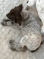 processed/04725dc9-0742-49a3-a50b-fce6bfdd5b3c/listing/98da8762-a201-4da8-babc-1f558aa1490d/1004593b-875a-4645-8e10-dc309f2fb88a