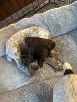 processed/04725dc9-0742-49a3-a50b-fce6bfdd5b3c/listing/99fa07ef-608b-4d5a-930f-4e8eb04b5f09/3ea7e7f8-07f3-4209-8b85-54acd34bc6fe