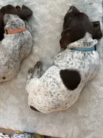 processed/04725dc9-0742-49a3-a50b-fce6bfdd5b3c/listing/99fa07ef-608b-4d5a-930f-4e8eb04b5f09/8b3b7823-04d3-46b5-b6fa-c82715d66c00