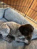 processed/04725dc9-0742-49a3-a50b-fce6bfdd5b3c/listing/a6ae01bf-f299-4903-bb81-84d2ad1f6bc6/1f8890f7-a9b3-48da-af24-60d5a75dfecd