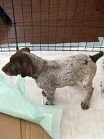 processed/04725dc9-0742-49a3-a50b-fce6bfdd5b3c/listing/a6ae01bf-f299-4903-bb81-84d2ad1f6bc6/9c348bc6-41ab-4d02-b790-dcf196fe93ff