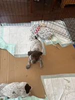 processed/04725dc9-0742-49a3-a50b-fce6bfdd5b3c/listing/a6ae01bf-f299-4903-bb81-84d2ad1f6bc6/b564a7cd-4484-468d-8ce7-0ad0a692a987