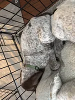 processed/04725dc9-0742-49a3-a50b-fce6bfdd5b3c/listing/bd637fb7-a927-4942-820d-ff66c7a0f361/37f5c429-1c08-4cc6-b224-1f6b3446e423