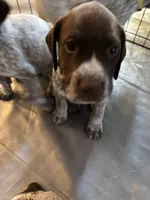 processed/04725dc9-0742-49a3-a50b-fce6bfdd5b3c/listing/bd637fb7-a927-4942-820d-ff66c7a0f361/7d1496fe-3be5-4e92-9c57-42fa5b05a7ab