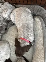 processed/04725dc9-0742-49a3-a50b-fce6bfdd5b3c/listing/c8a08e5f-b3a6-443f-ad46-442b9ca7eb50/acdce798-0ea0-488d-840a-b8d6efa803b0