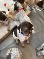 processed/04725dc9-0742-49a3-a50b-fce6bfdd5b3c/listing/e5c64170-bed6-44ff-8483-7dda72e6d69a/050ff822-c668-4017-90a5-a498ec37fdf2