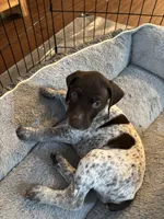 processed/04725dc9-0742-49a3-a50b-fce6bfdd5b3c/listing/e5c64170-bed6-44ff-8483-7dda72e6d69a/5e3a8600-171e-43a6-81e2-5496446e8800