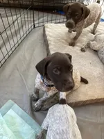 processed/04725dc9-0742-49a3-a50b-fce6bfdd5b3c/listing/e5c64170-bed6-44ff-8483-7dda72e6d69a/7682b168-64af-4f2e-9994-6302590bf8d6